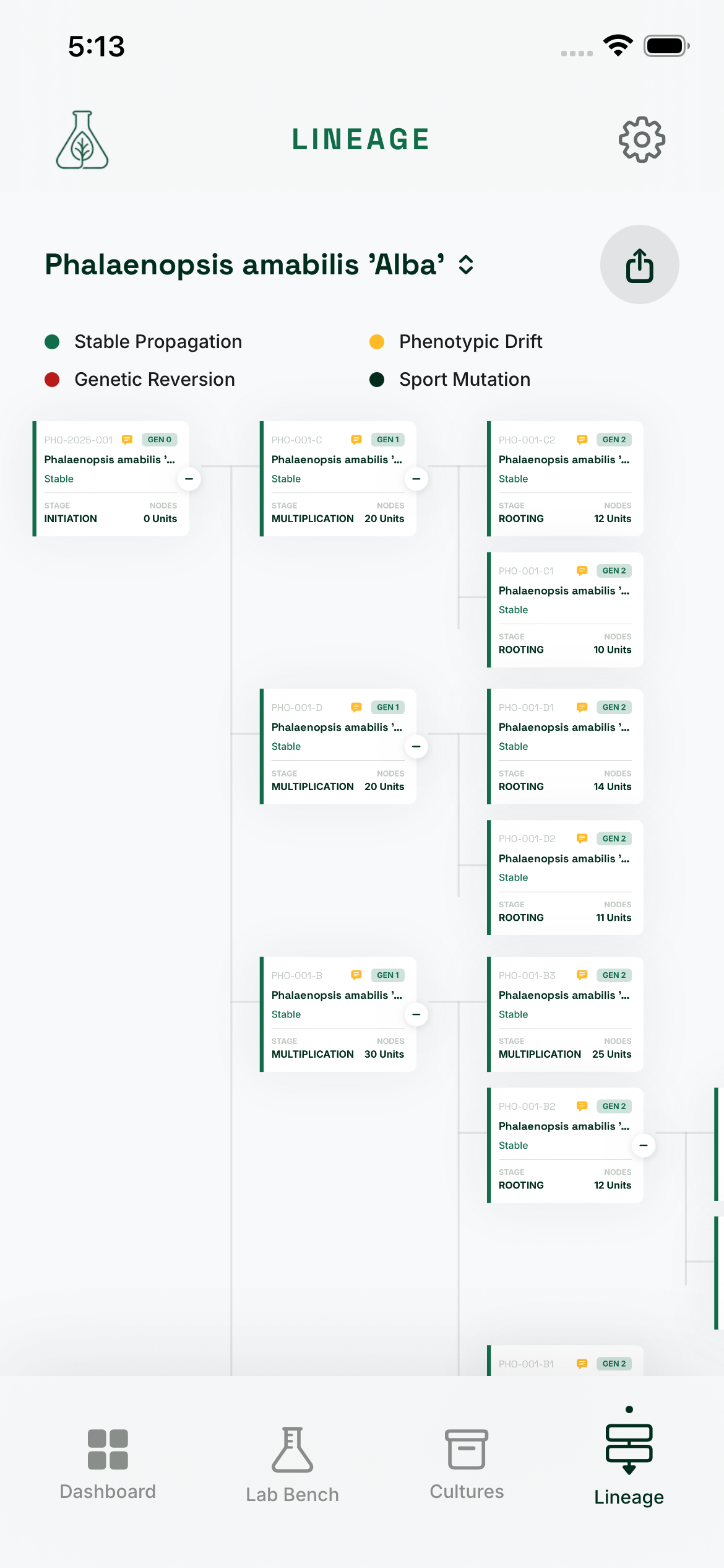 Interactive lineage tree showing multi-generational clone relationships
